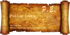 Pallag Endre névjegykártya
